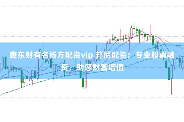 鑫东财有名杨方配资vip 邦尼配资:专业股票融资,助您财富增值